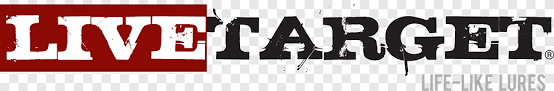 live target logo